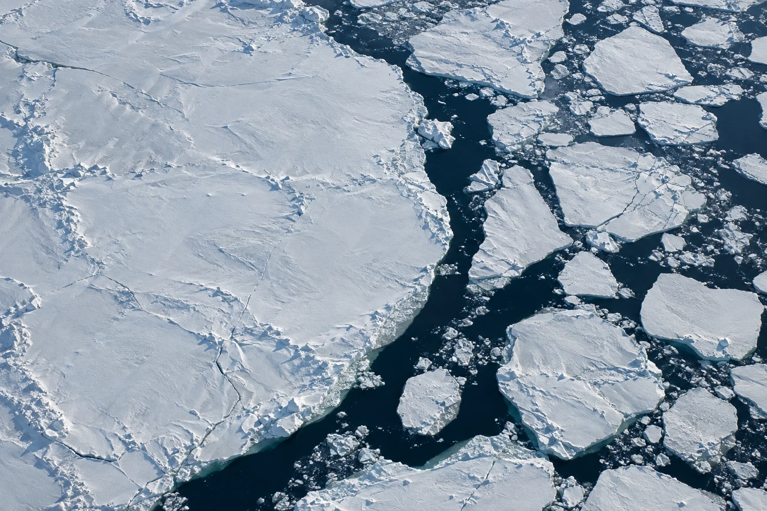 A sea-ice pixel is not a habitat map