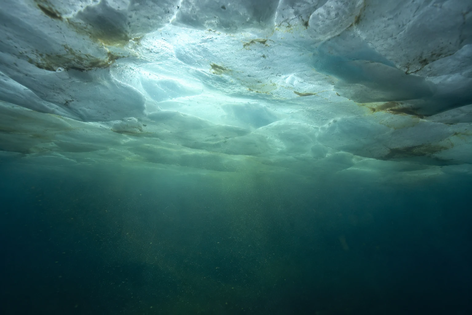 The bloom can begin before open water